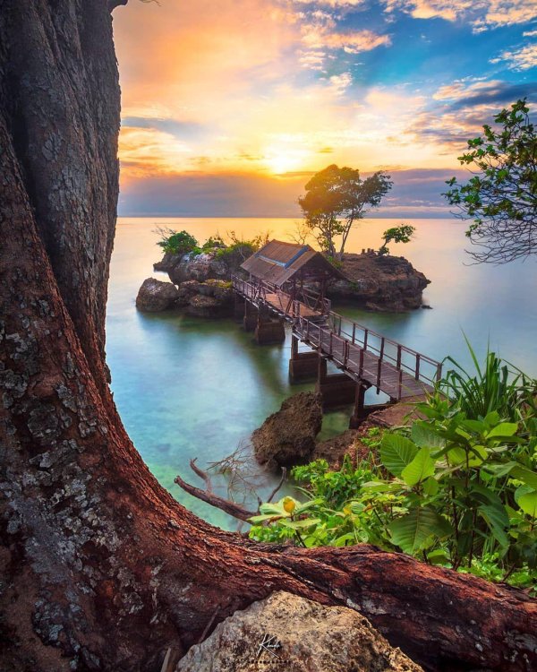 экзотическая природа