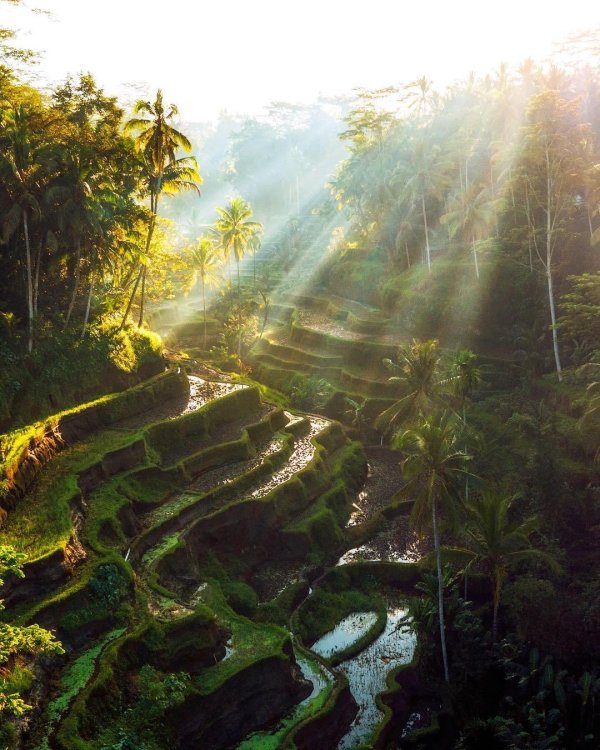 индонезия красивые места