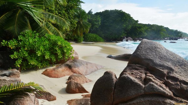 anse intendance сейшелы