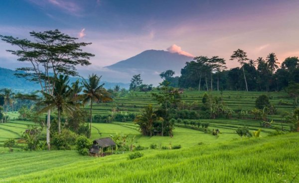 природа индонезии