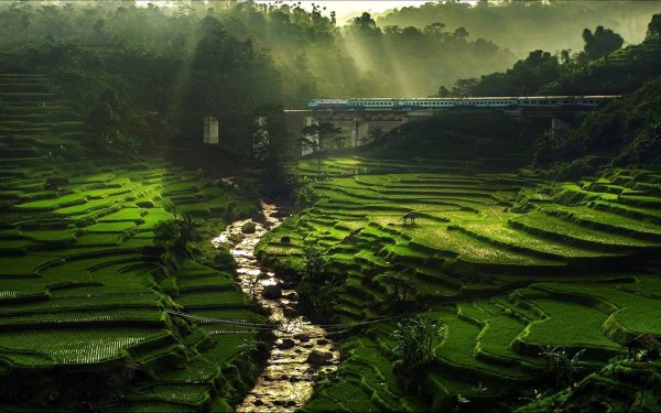 город сапа вьетнам