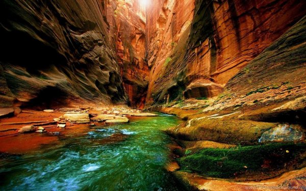 zion canyon