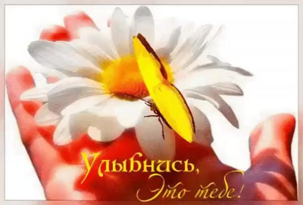 улыбка открытка