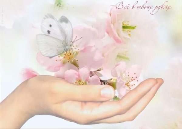 цветок в ладонях