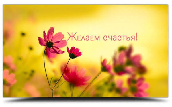 желаем счастья