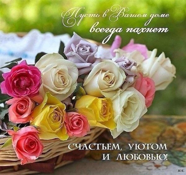 букет красивый роз