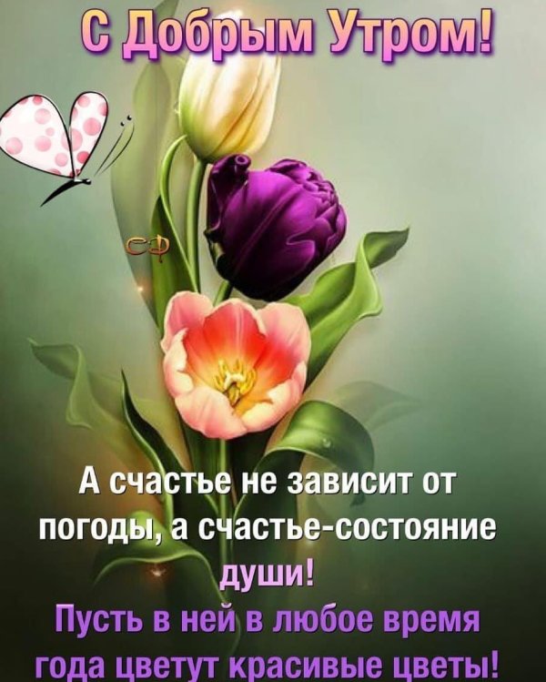 картины тюльпаны