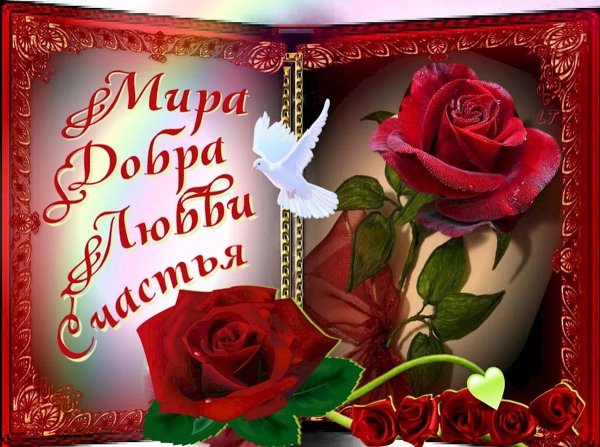 пожелание любви