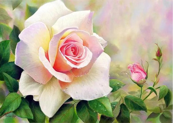 цветочные картины