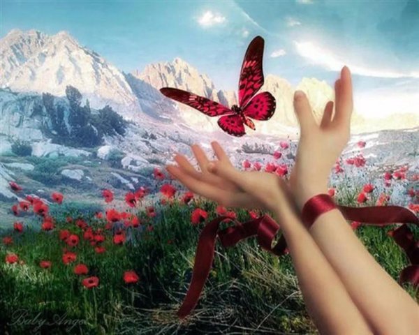 бабочка на ладони