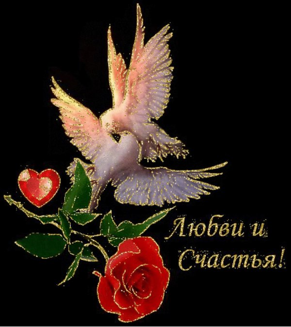 любви и счастья