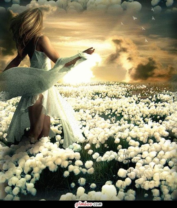 девушки природа