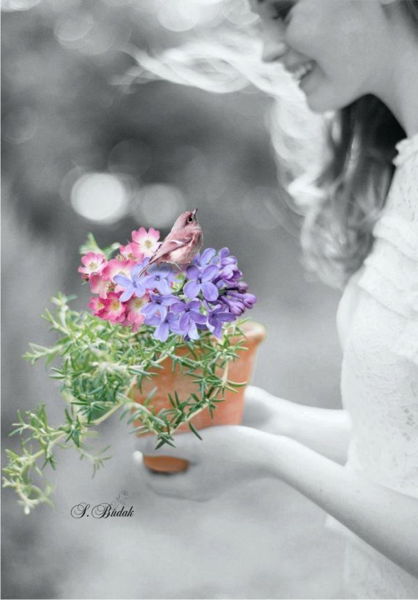 красивая птица