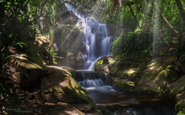 лес с водопадом