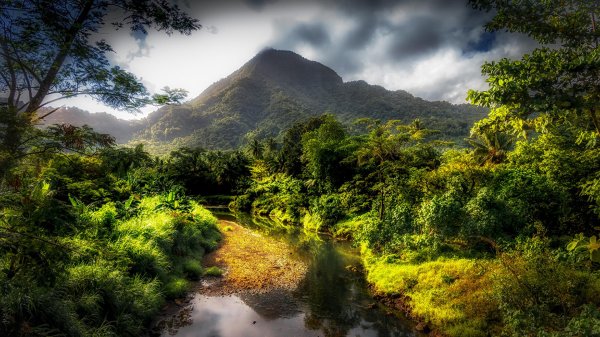 тропические пейзажи