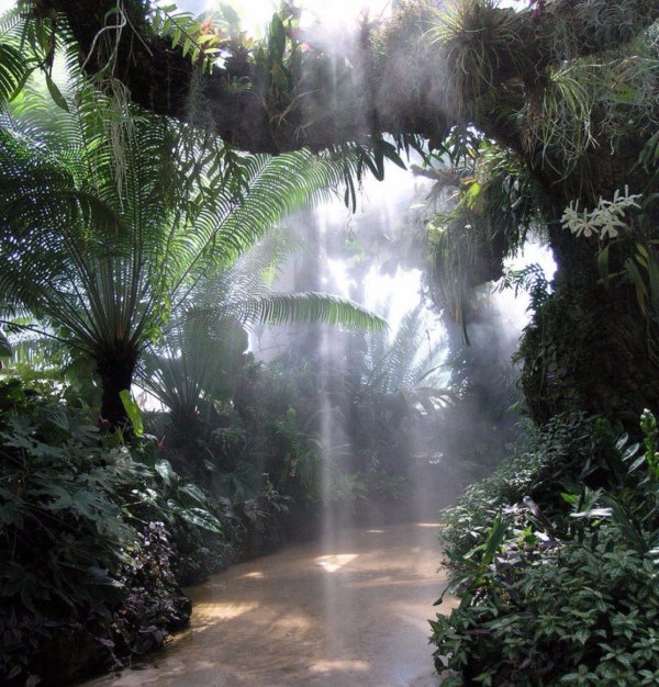 australian national botanic gardens