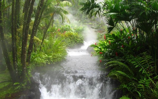 rainforest waterfall