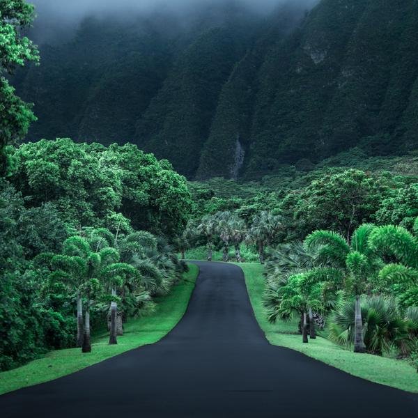 green road
