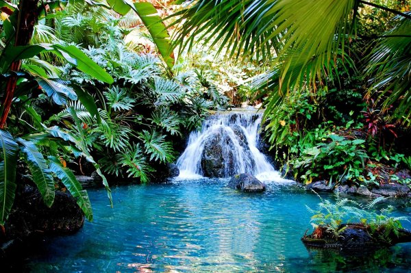 paradise waterfall