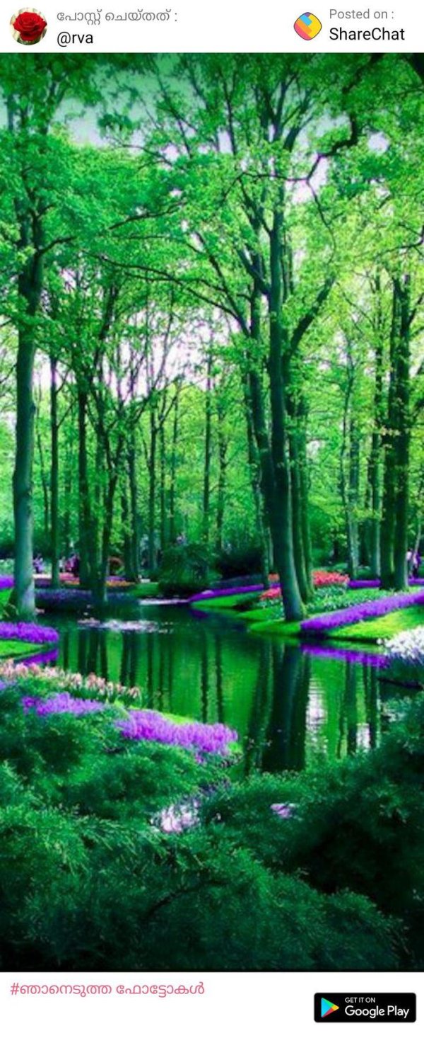 beautiful garden