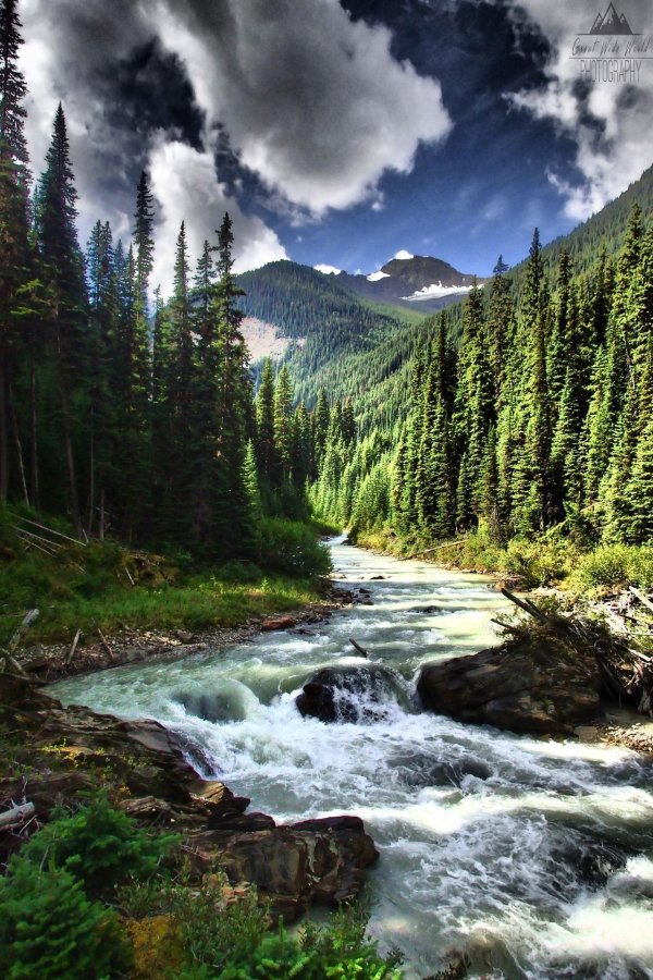 табиат манзараси