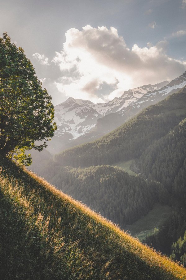 пейзажи с горами