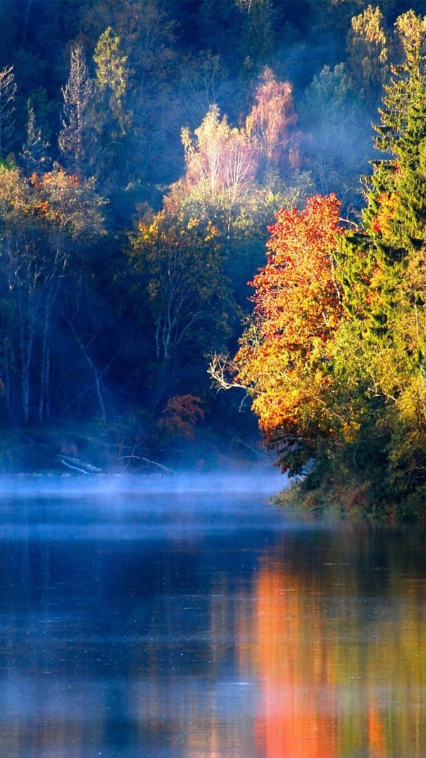 осенние пейзажи