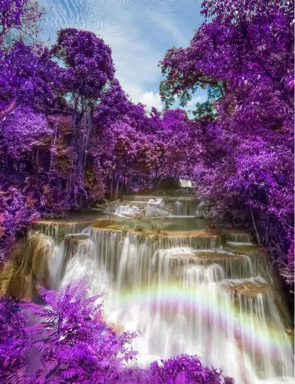 цветущие сады и водопады