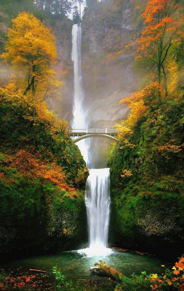 малтномафолс штат орегон