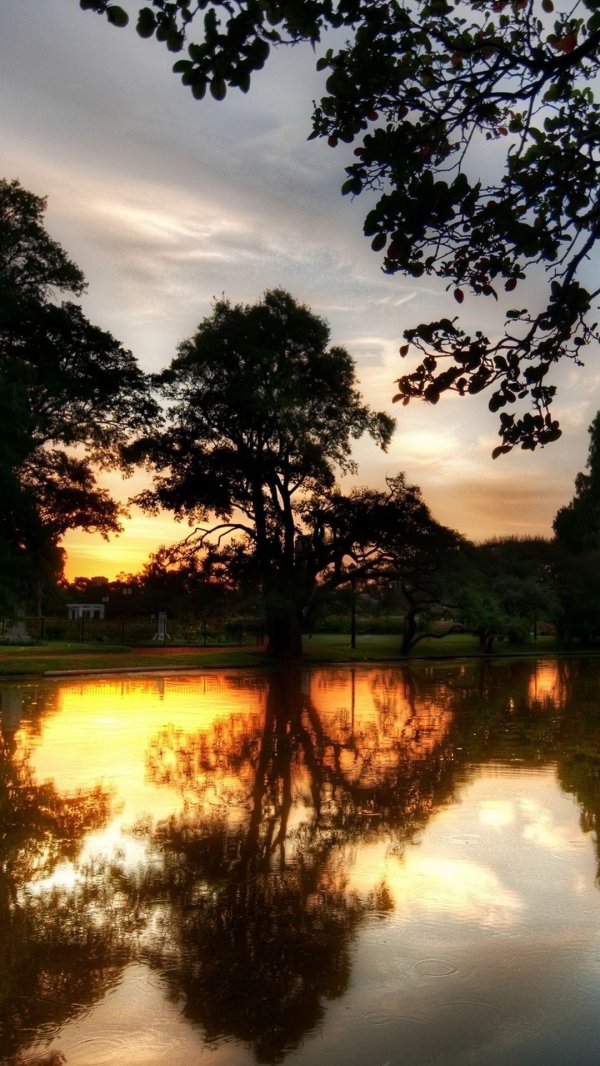 вечерние пейзажи