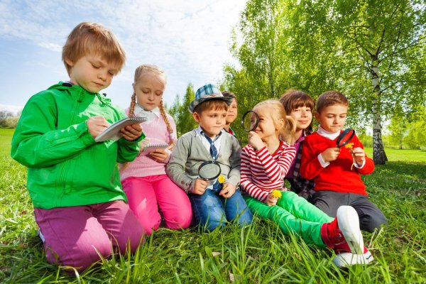 образовательная игра для детей