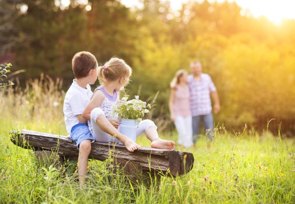 семья счастливая