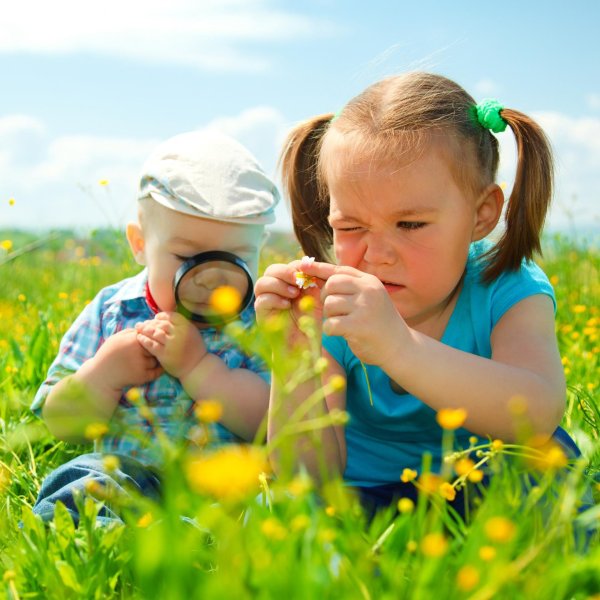 наблюдение за природой