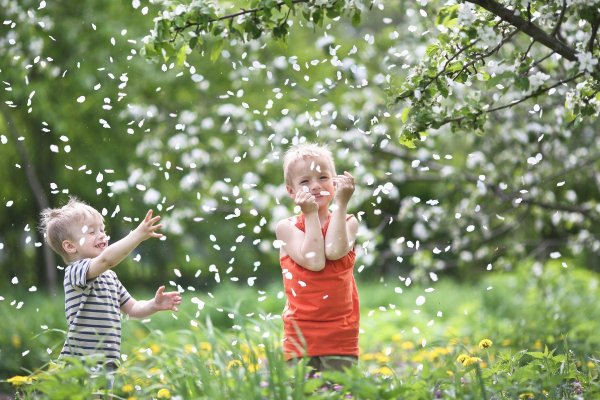счастье и радости