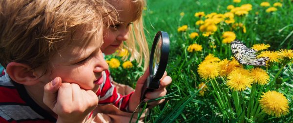 изучение природы