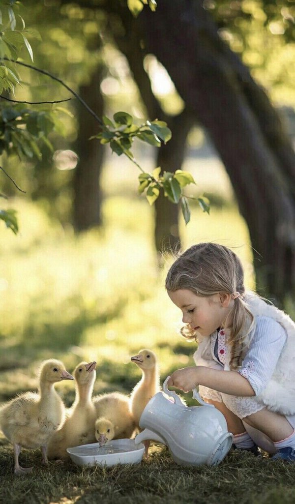 фотосессия с утятами