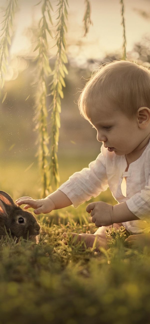 мальчик с кроликом