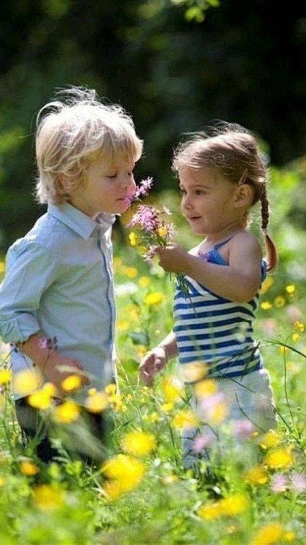 мальчик дарит девочке цветы