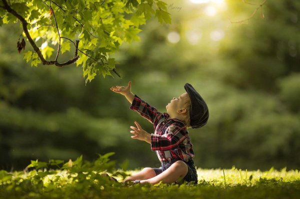 адриан мюррей adrian murray