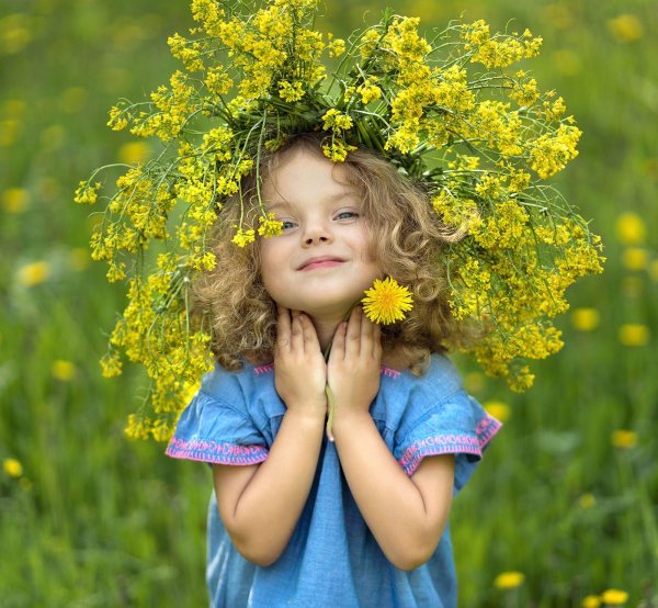 венки из одуванчиков