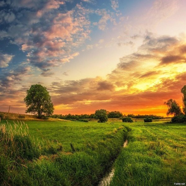 пейзажи природы лето