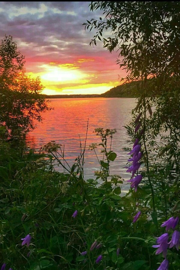 вечер природа