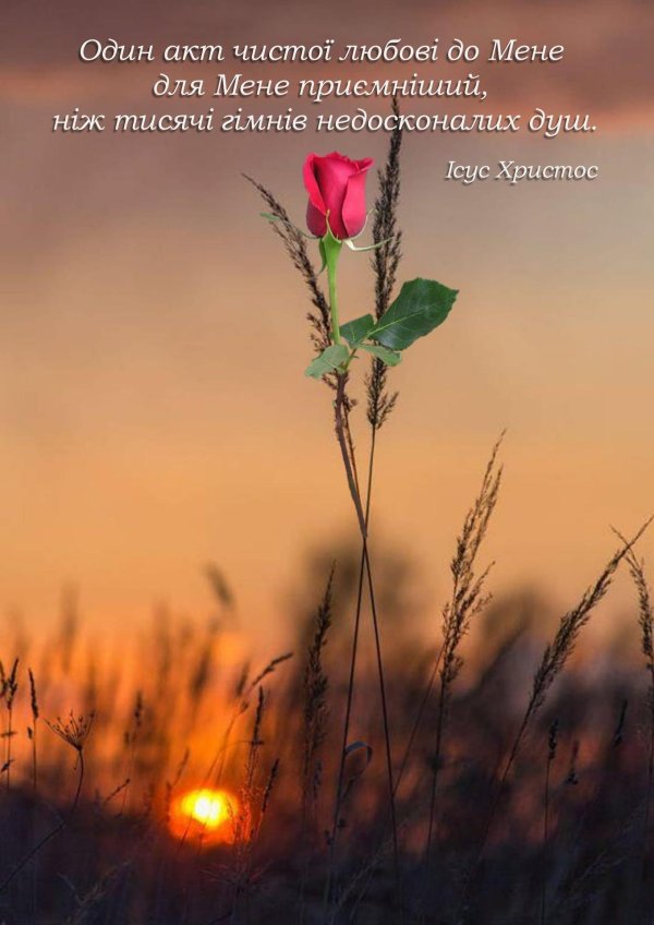 летняя эстетика