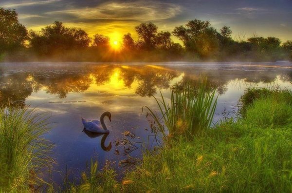 озеро лебедь