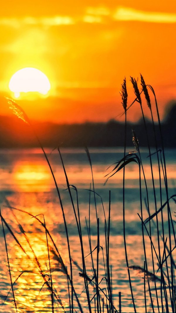 закат у реки