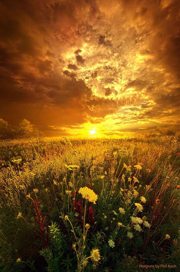 красивые рассветы