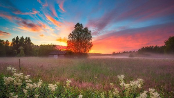 лето рассвет