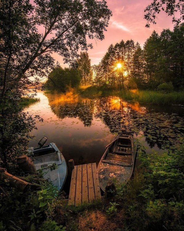 утренняя река