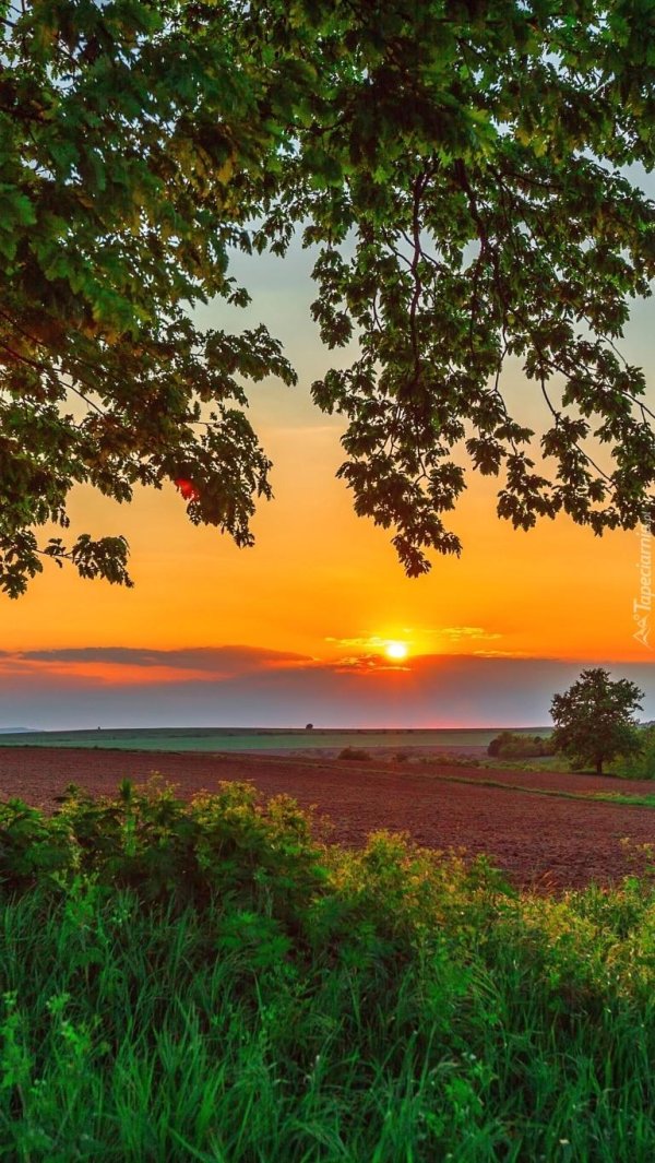 рассвет летом