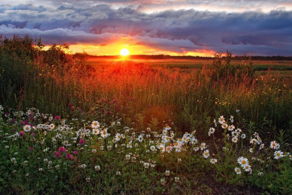 утренний рассвет